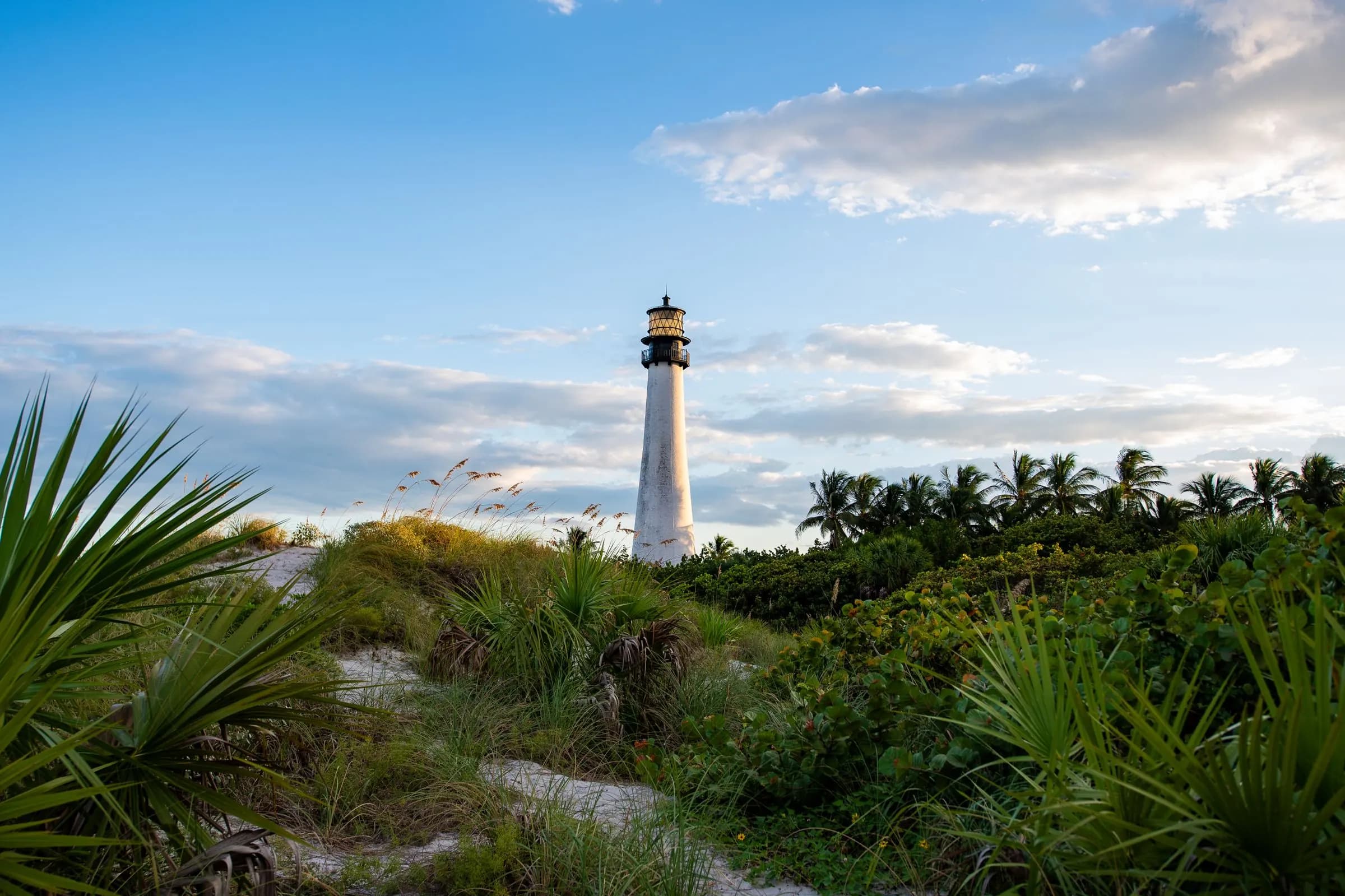 Cape Florida Lighthouse surrounded by greenery on Key Biscayne