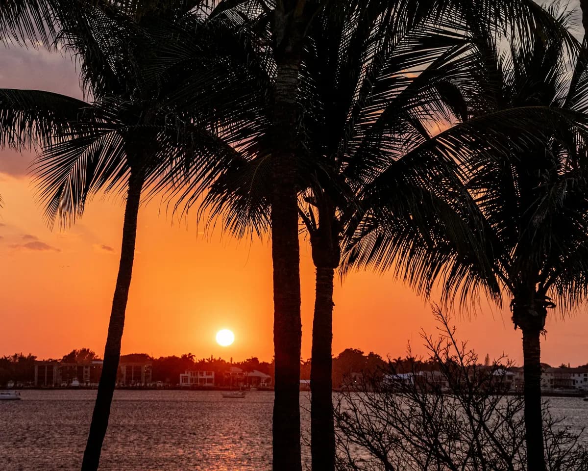 Sunset over the water in Manalapan, Florida, with palm silhouettes